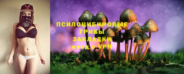 каннабис Арсеньев